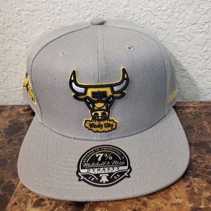 New Mitchell & Ness Dynasty Chicago Bulls 1998 Finals Gray Size Ftted Hat